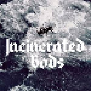 Cover - Vuyvr: Incinerated Gods