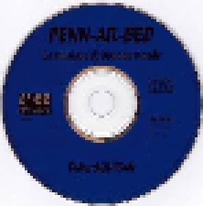 Didier Squiban: Penn-Ar-Bed (Brest 96) (CD) - Bild 3