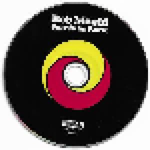 Bob Mould: Sunshine Rock (CD) - Bild 3
