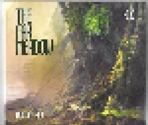 The Far Meadow: Foreign Land (CD) - Bild 1