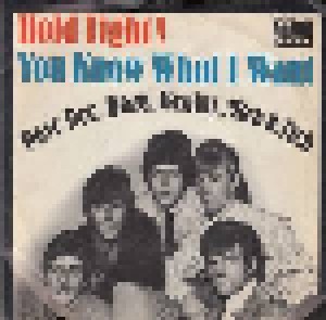 Cover - Dave Dee, Dozy, Beaky, Mick & Tich: Hold Tight!