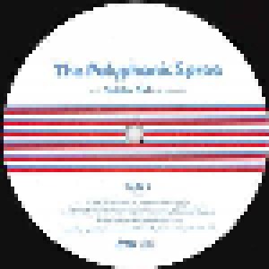 The Polyphonic Spree: Light And Day (12") - Bild 3