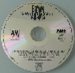 Bryan Adams: You Want It You Got It (CD) - Bild 3