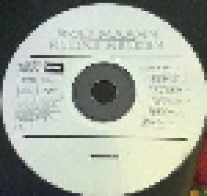 Wolf Maahn: Kleine Helden (CD) - Bild 2