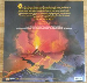Manowar: Fighting The World (LP) - Bild 2
