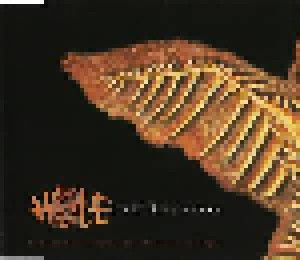 Iggy Pop + Hole + NY Loose: Gold Dust Woman (Split-Single-CD) - Bild 1
