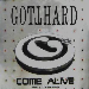 Gotthard: Come Alive - Cover