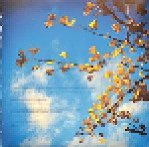 RM Hubbert: Telling The Trees (LP) - Bild 4