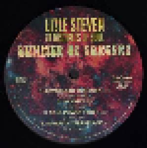 Little Steven And The Disciples Of Soul: Summer Of Sorcery (2-LP) - Bild 4