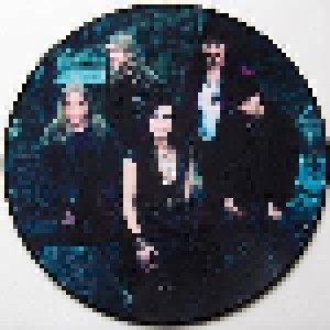 Nightwish: Dark Passion Play (2-PIC-LP) - Bild 7