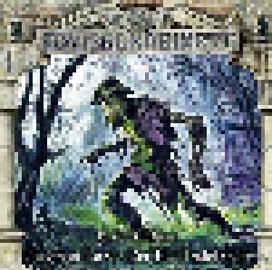 Gruselkabinett: (149) E & H Heron - Der Fall Teufelsmoor (CD) - Bild 1