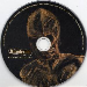 Akroterion: Decay Of Civilization (CD) - Bild 2