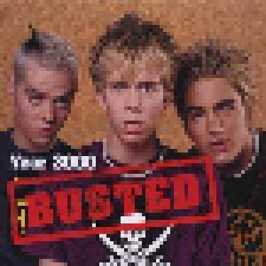 Busted: Year 3000 - Cover