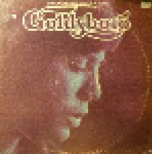 Cover - Bobby Goldsboro: Through The Eyes Of A Man