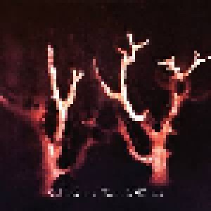 Sol Invictus: Trees In Winter (CD) - Bild 1