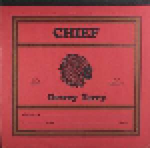 Dewey Terry: Chief (CD) - Bild 1