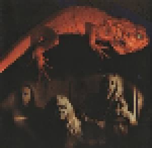Buffalo Brothers: Magic Incinerator (CD) - Bild 4