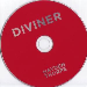 Hayden Thorpe: Diviner (CD) - Bild 3