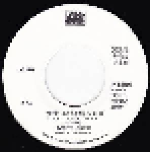 Twisted Sister: We're Not Gonna Take It (Promo-7") - Bild 2