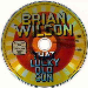 Brian Wilson: That Lucky Old Sun (DVD) - Bild 3