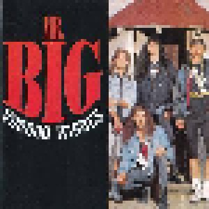 Cover - Mr. Big: Voodoo Kiss