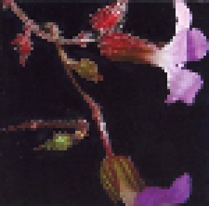 Minnie Riperton: Les Fleurs - The Minnie Riperton Anthology (CD) - Bild 8