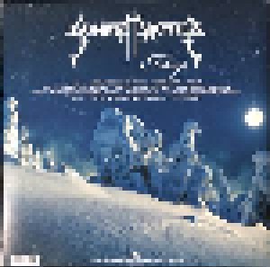 Sonata Arctica: Talviyö (2-LP) - Bild 2