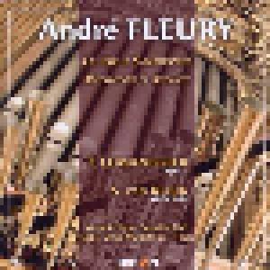 André Fleury: Les Deux Symphonies / Méditation Et Andante - Cover