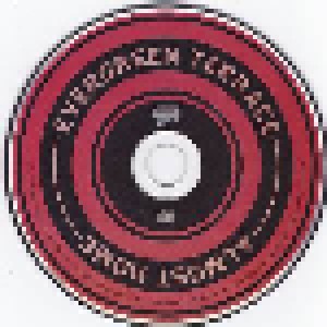 Evergreen Terrace: Almost Home (CD) - Bild 5