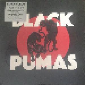 Black Pumas: Black Pumas (LP) - Bild 1
