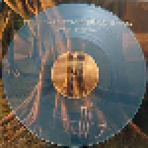 Devin Townsend Project: Eras II (8-LP) - Bild 6