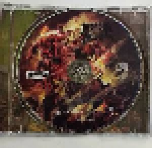 Morbid Angel: Kingdoms Disdained (CD) - Bild 5