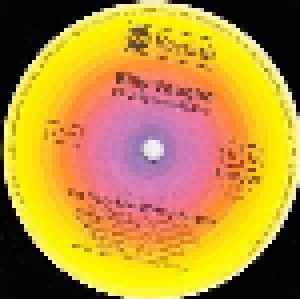 Billy Vaughn & His Orchestra: 28 Golden Melodies: The Very Best Of Billy Vaughn (2-LP) - Bild 6