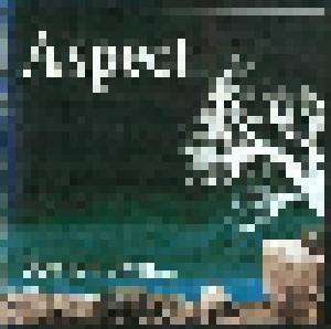Aspect: See You Later... (CD) - Bild 1