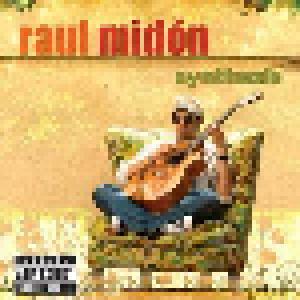 Raul Midón: Synthesis - Cover