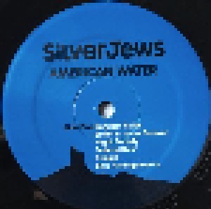 Silver Jews: American Water (LP) - Bild 3