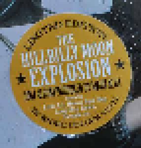 The Hillbilly Moon Explosion: All Grown Up (LP) - Bild 3