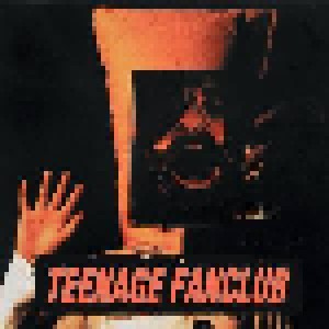 Teenage Fanclub: Deep Fried Fanclub (CD) - Bild 1