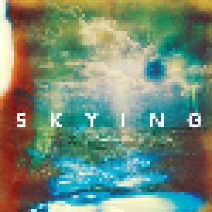 The Horrors: Skying - Cover