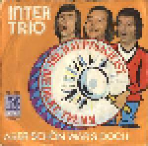 Inter Trio: Hauptsach' Ist Die Dicke Trumm, Die - Cover
