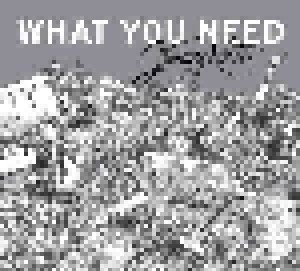 Cover - Jimmy Reiter: What You Need
