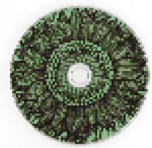 Blaudzun: Who Took The Wheel (Promo-Single-CD) - Bild 3
