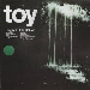 Cover - TOY: Happy In The Hollow