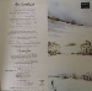 Peter Green: White Sky (LP) - Bild 2