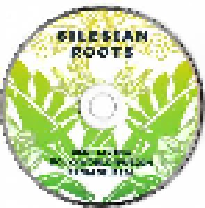 Silesian Roots (Best Living Folk/World/Fusion From Silesia) (CD) - Bild 3
