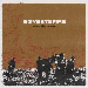 boysetsfire: After The Eulogy (CD) - Bild 1