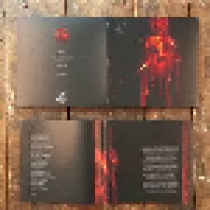 (Dolch): Feuer (LP) - Bild 2