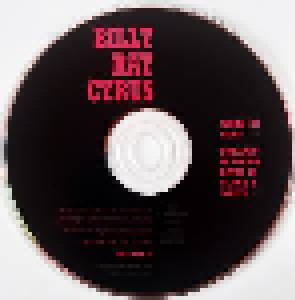 Billy Ray Cyrus: When I'm Gone (Single-CD) - Bild 3