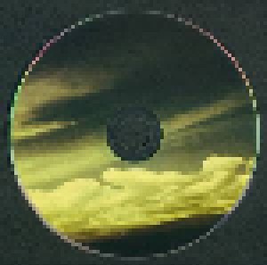 Simulacra: The Empty Vessel Makes The Loudest Sound (CD) - Bild 3