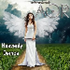 A.O.R: Heavenly Demos (CD) - Bild 1